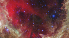 Biggest valentine in The