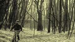 Bike autumn forests Bicycles