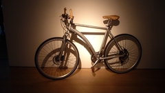 Bike high Resolution mst