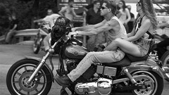 Biker squid greyscale