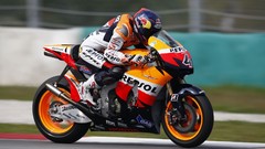 Bikers Speed biker motorbikes