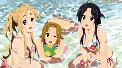 Bikini cleavage akiyama mio