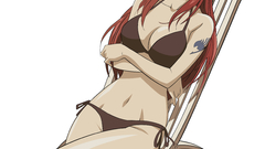 Bikini redheads fairy tail
