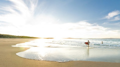 Bikini surfboards Beaches