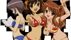 Bikini The melancholy of