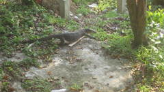 Bild took This myself