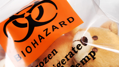 Biohazard teddy bears