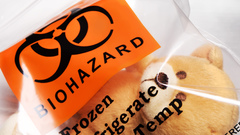 Biohazard teddy bears