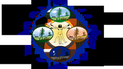 Biological clock human high