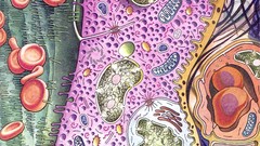 Biology Science cells artwork