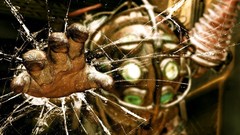 Bioshock broken glass