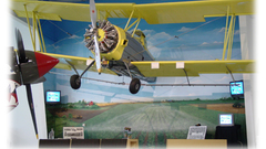 Biplane