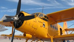 Biplane an yellow-color big-panda