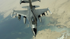 Bird aircrafts military f-16