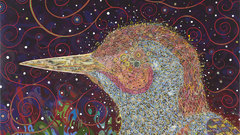 Bird here background not exactly optimized samefag tomaselli