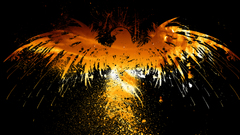 Bird here thanks birdy high Resolution