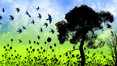 Bird mushroom cloud The looks that Nuclear requesting