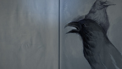 Bird sketch crow also