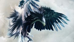 Birds abstract Eagles 3d drawings animated