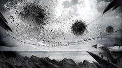 Birds abstract flock scratches monochrome crows artwork power 