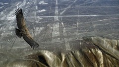 Birds aerial view Nazca deserts