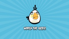 Birds angry birds video games