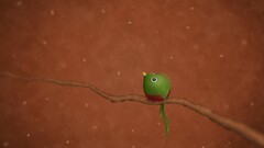 Birds Animals artwork twigs