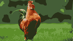 Birds Animals Chickens animal