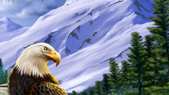 Birds Animals eagle artwork