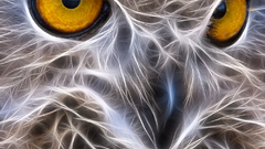 Birds Animals Fractalius Owls