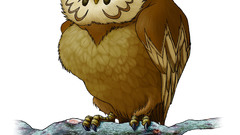 Birds Animals the legend