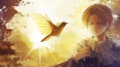 Birds Anime shingeki no kyojin rivaille upscaled