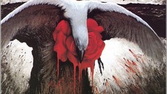 Birds artwork fantasy art