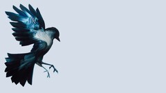 Birds artwork Simple Background Animals digital art