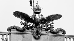 Birds Austria Symbols Eagles crowns grayscale