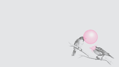 Birds bubble gum