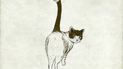 Birds cats Animals artwork