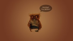 Birds coffee funny orange background Owls Quotes