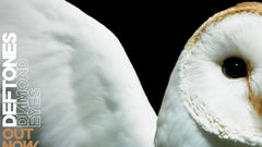 Birds deftones Owls album