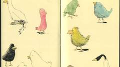 Birds drawings
