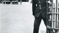 Birds Ducks crossing gate