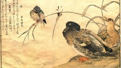 Birds Ducks Japanese artwork Kitagawa Utamaro