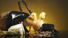 Birds Ducks Money coins duckling purses