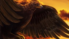 Birds Eagles