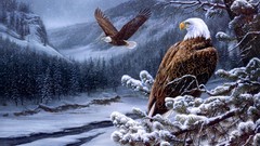 Birds Eagles artwork