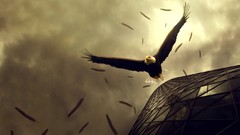 Birds Eagles buildings