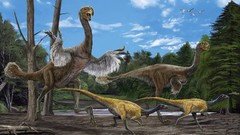 Birds feathers giant Dinosaurs