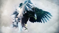 Birds feathers illustrations artwork