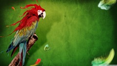 Birds feathers Parrots green background