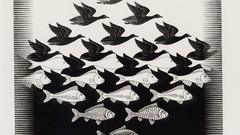 Birds fish MC Escher